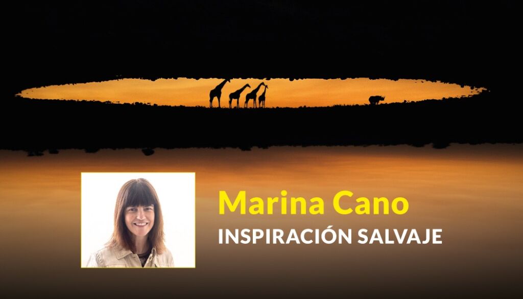 Ciclo de charlas por Instagram Live - Marina Cano