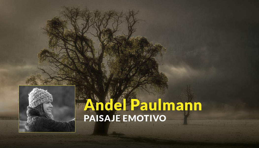 Ciclo de Charlas por Instagram Live - Andel Paulmann