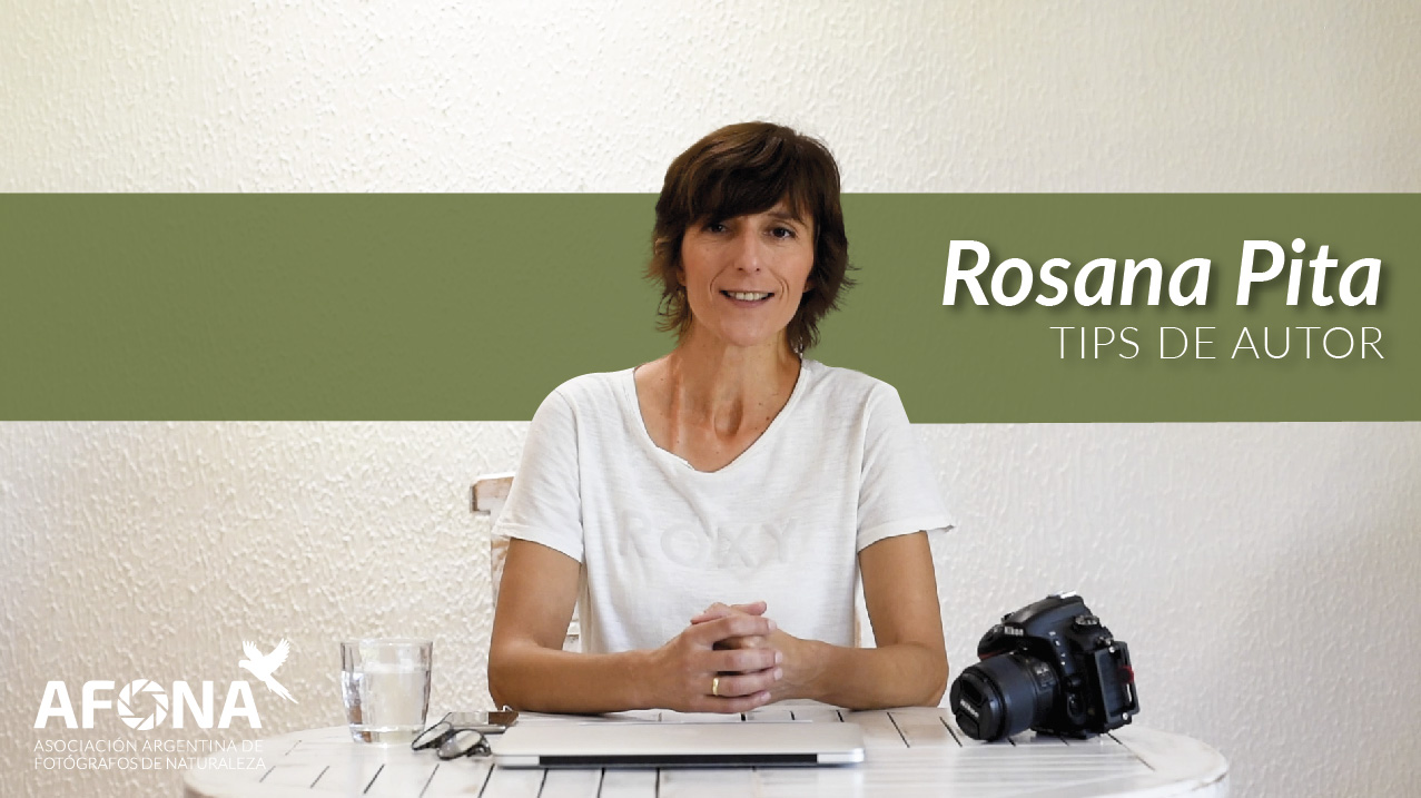 Tips de Autor - Rosana Pita