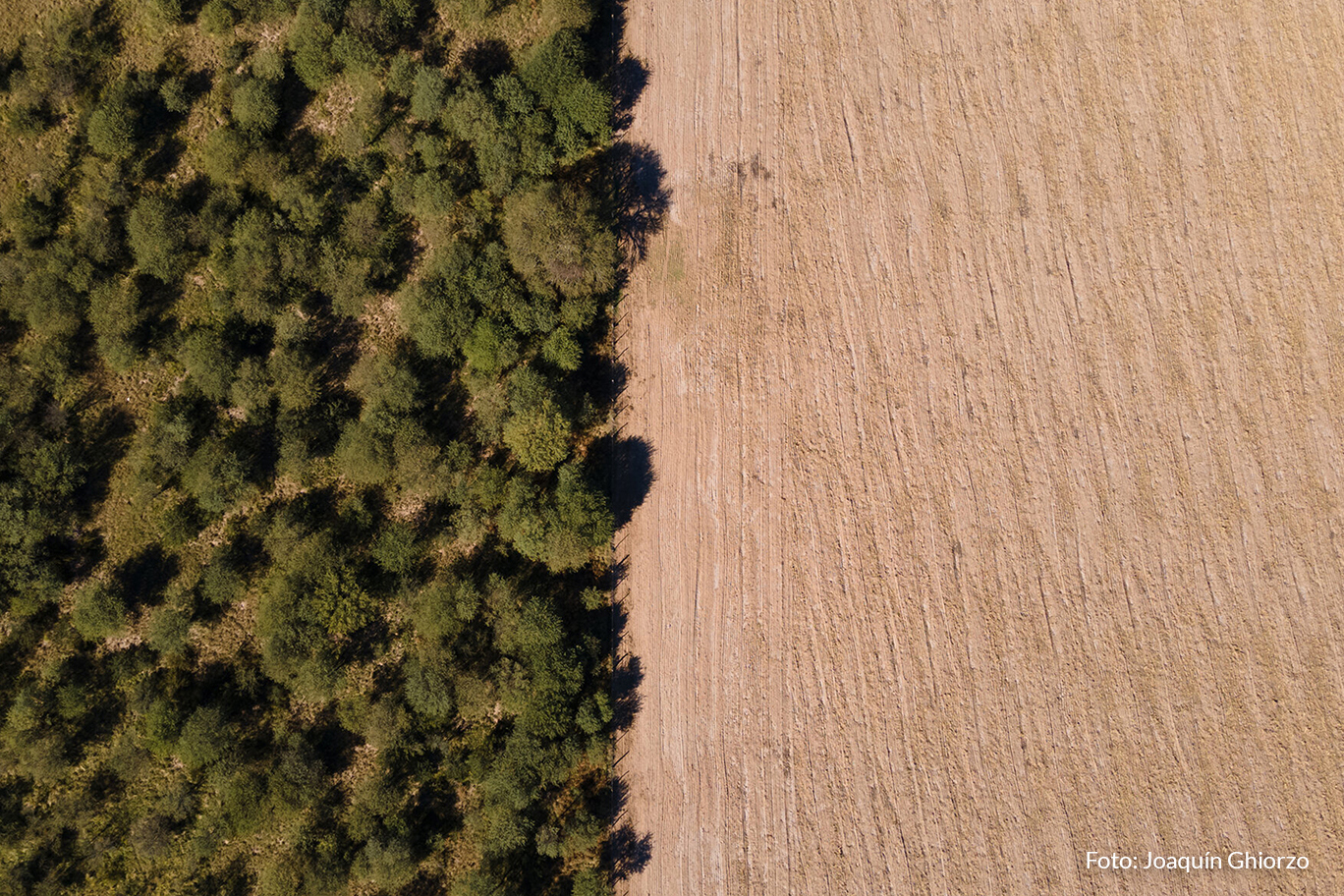 CONSERVACION_JoaquinGhiorzo