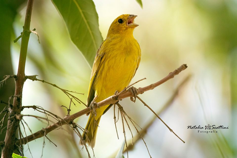 83406463_1031394770549708_7050279049351921664_o