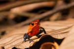 img-20250415-wa0005